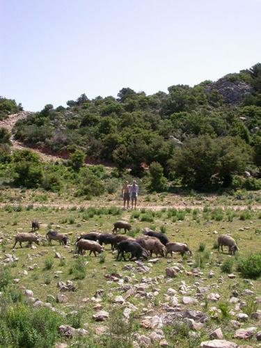 2006-Sardegna-126