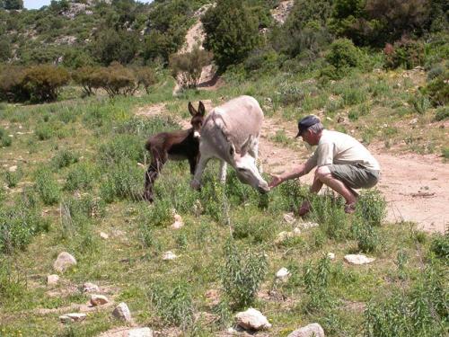 2006-Sardegna-137