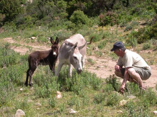 2006-Sardegna-165