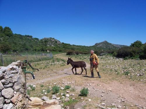 2006-Sardegna-167