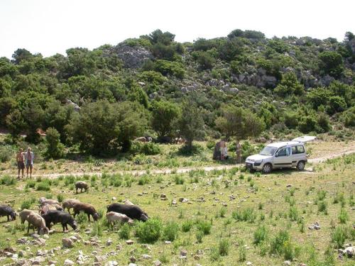 2006-Sardegna-189