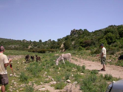 2006-Sardegna-27