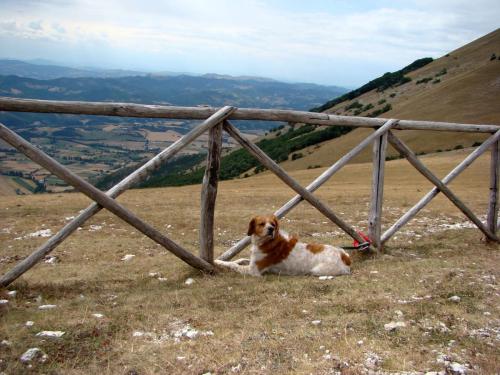 2010-Monte-Cucco-Umbria-51