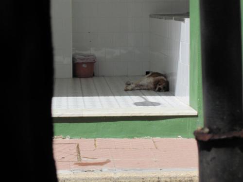 2012-Andalucia-6