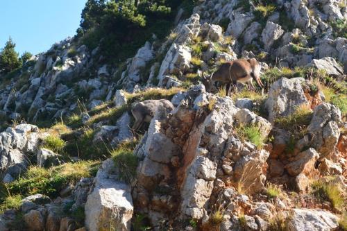 2018-Camp-Vercors-Grand-Veymont-6