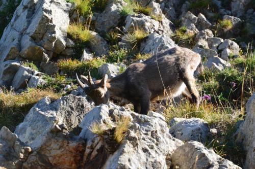 2018-Camp-Vercors-Grand-Veymont-7