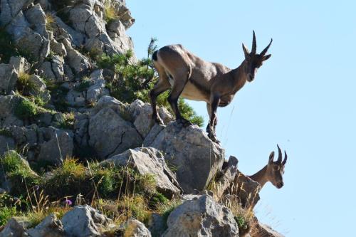 2018 Camp Vercors Grand Veymont