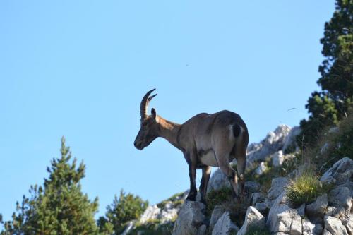 2018-Camp-Vercors-Grand-Veymont-9