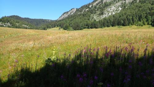 Camp-Vercors-2020-127