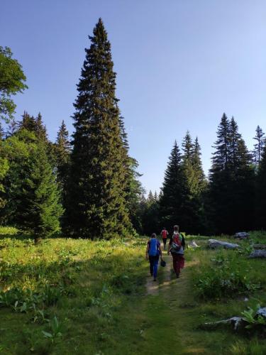 Camp-Vercors-2020-80