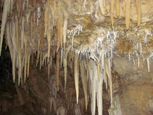 Camp-Vercors-Antre-de-Venus-8