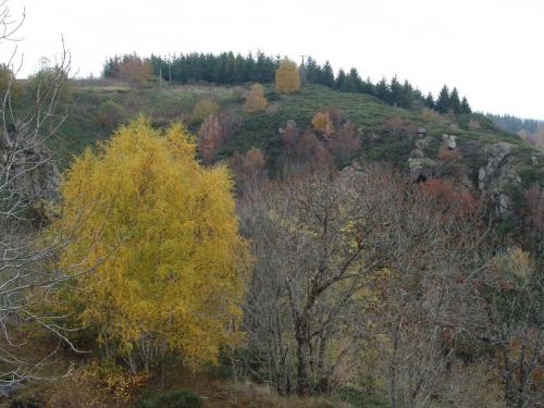 Sentier du Ravin de la Vinade