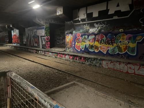 IMG 7974